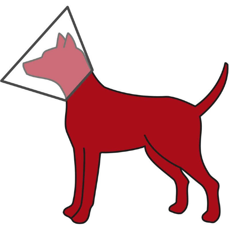 Тrixie (Трикси) Protective Collar - Ветеринарный воротник для собак и кошек (S) в E-ZOO