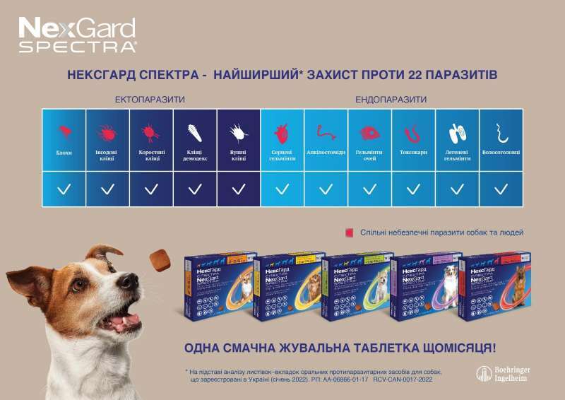 Некс Гард Спектра протипаразитарний препарат проти бліх, кліщів і гельмінтів для собак (1 таблетка) (2-3,5 кг) в E-ZOO