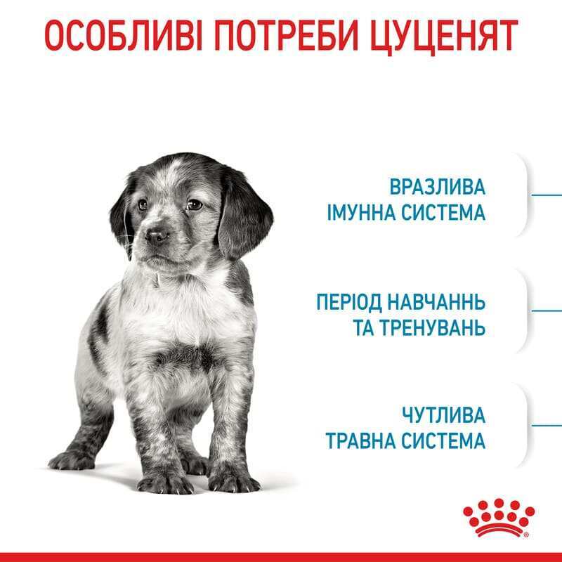 Royal Canin (Роял Канін) Medium Puppy - Сухий корм з м'ясом птиці для цуценят собак середніх порід (1 кг) в E-ZOO