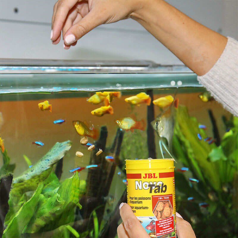 JBL (ДжіБіЕль) NovoTab - Основний корм для акваріумних рибок (таблетки) (250 мл) в E-ZOO