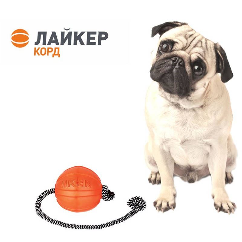 Collar (Коллар) LIKER CORD - Іграшка для тренування слухняності собак (Ø5 см) в E-ZOO