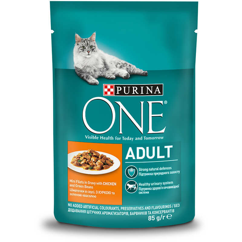 Purina ONE (Пуріна Ван) ADULT - Пауч для дорослих кішок з куркою і зеленою квасолею (85 г) в E-ZOO
