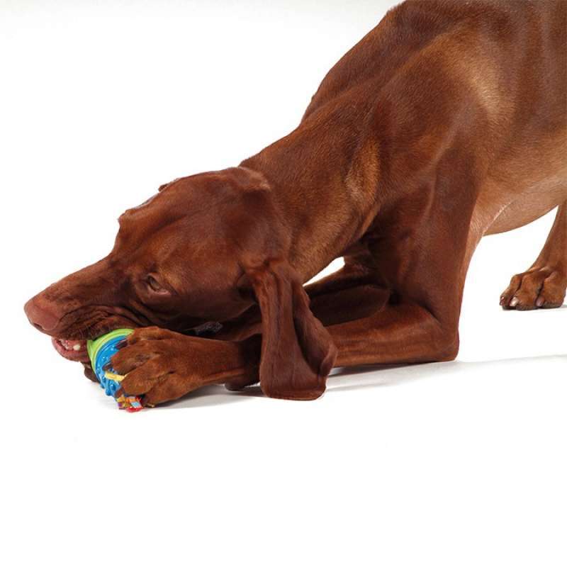 Petstages (Петстейджес) Calming Treat Capsule - Игрушка для собак и щенков "Капсула для лакомства" - Фото 2