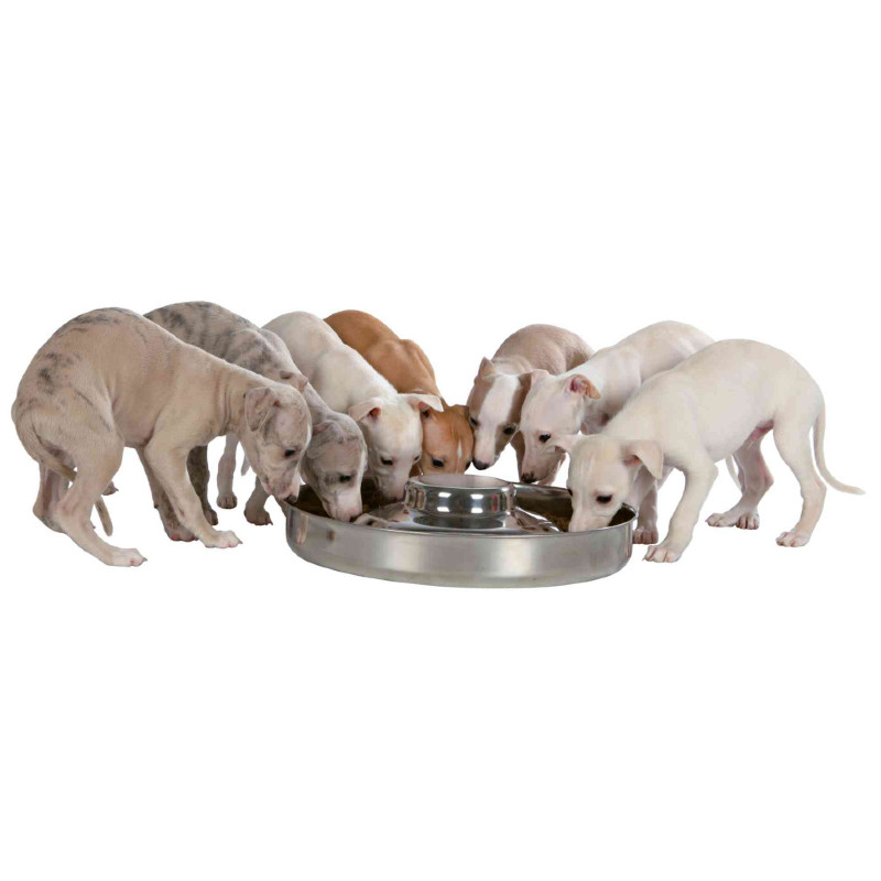 Trixie (Трикси) Junior Puppy Bowl - Стальная миска для щенков (4 л) в E-ZOO