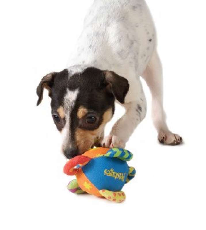 Petstages (Петстейджес) Mini Loop Ball - Игрушка для собак "Мяч с петлями мини" (10 см) в E-ZOO