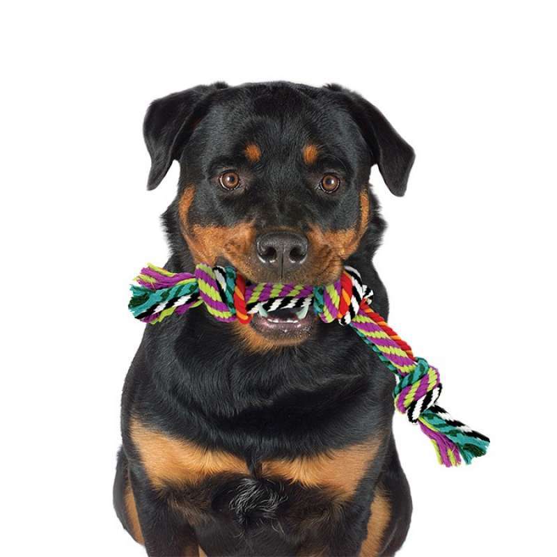 Petstages (Петстейджес) Multi Rope Chew - Игрушка для собак "Цветной канат с узлами" - Фото 2
