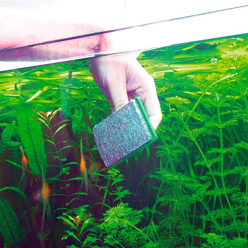 JBL (ДжиБиЭль) Blanki - Скребок, который не царапает стекла аквариума (5,4х7 см) в E-ZOO