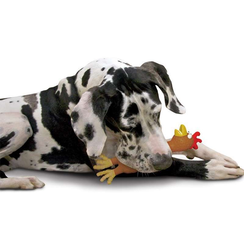 Petstages (Петстейджес) Zany Chicken - Игрушка-пищалка для средних и крупных пород собак "Утка Занни или Цыпленок Аст" - Фото 2