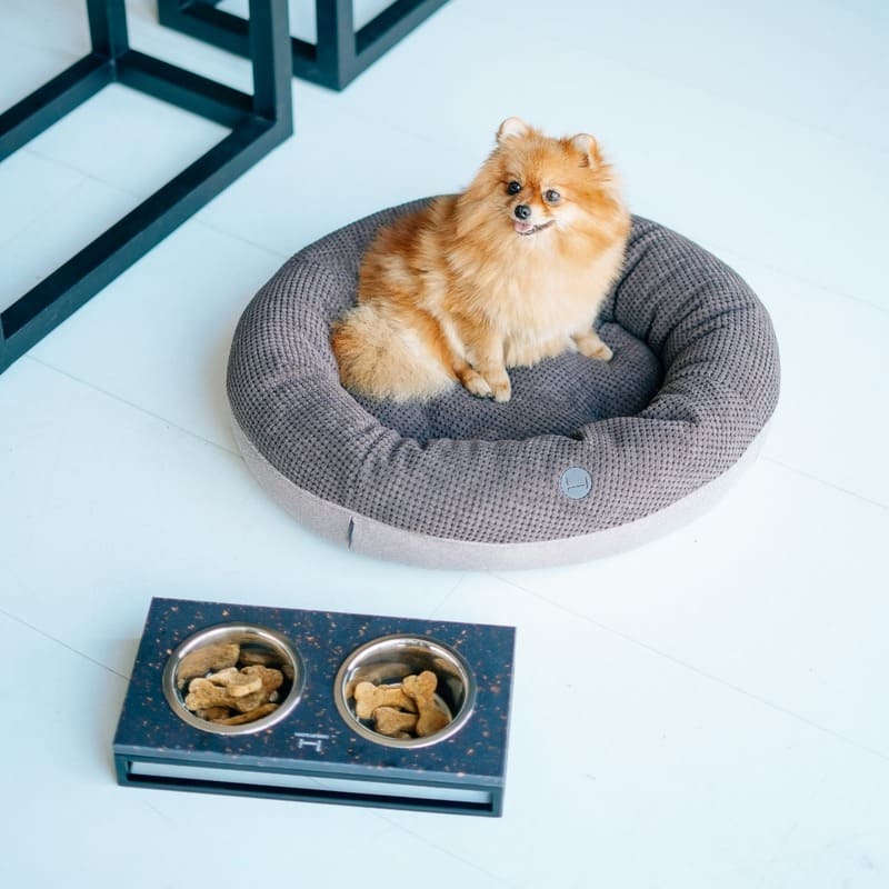 HARLEY & CHO (Харли энд Чо) Bagel - Овальный лежак для собак и котов (60х50 см) в E-ZOO