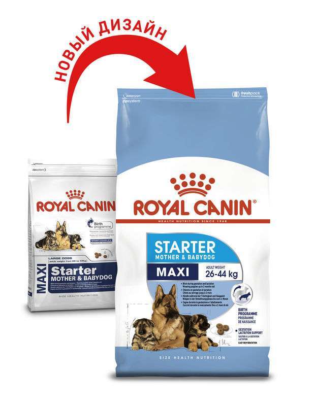 Royal Canin (Роял Канін) Maxi Starter Mother&Babydog - Сухий корм для цуценят і годуючих самок великих порід (4 кг) в E-ZOO