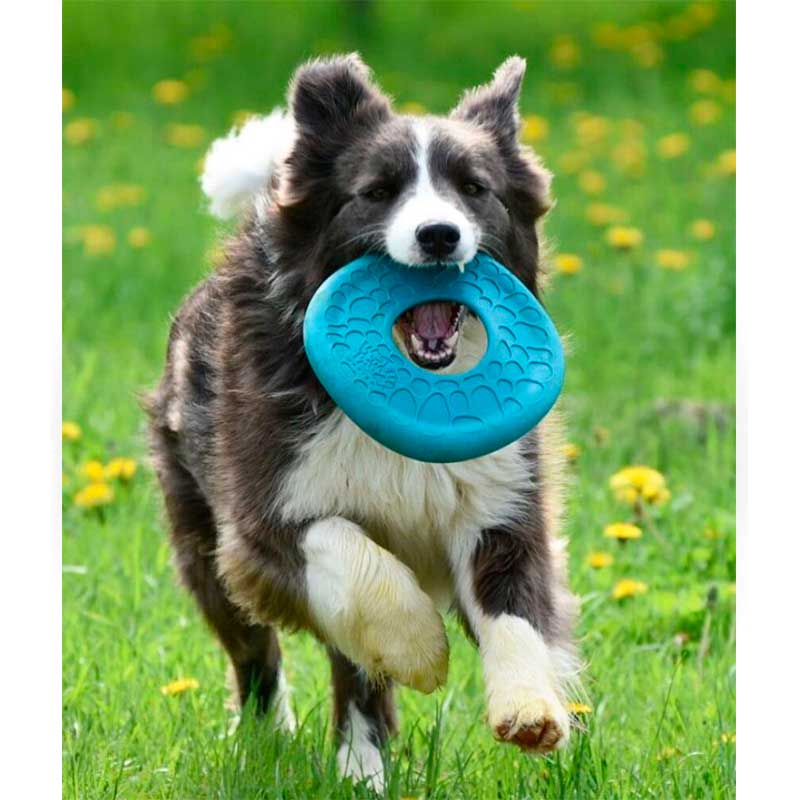 West Paw (Вест Пау) Dash Dog Frisbee - Іграшка фрісбі для собак (21 см) в E-ZOO