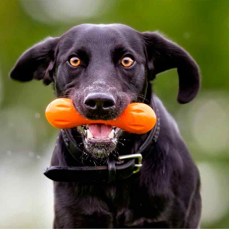 West Paw (Вест Пау) Hurley Dog Bone - Игрушка косточка для собак (11 см) в E-ZOO