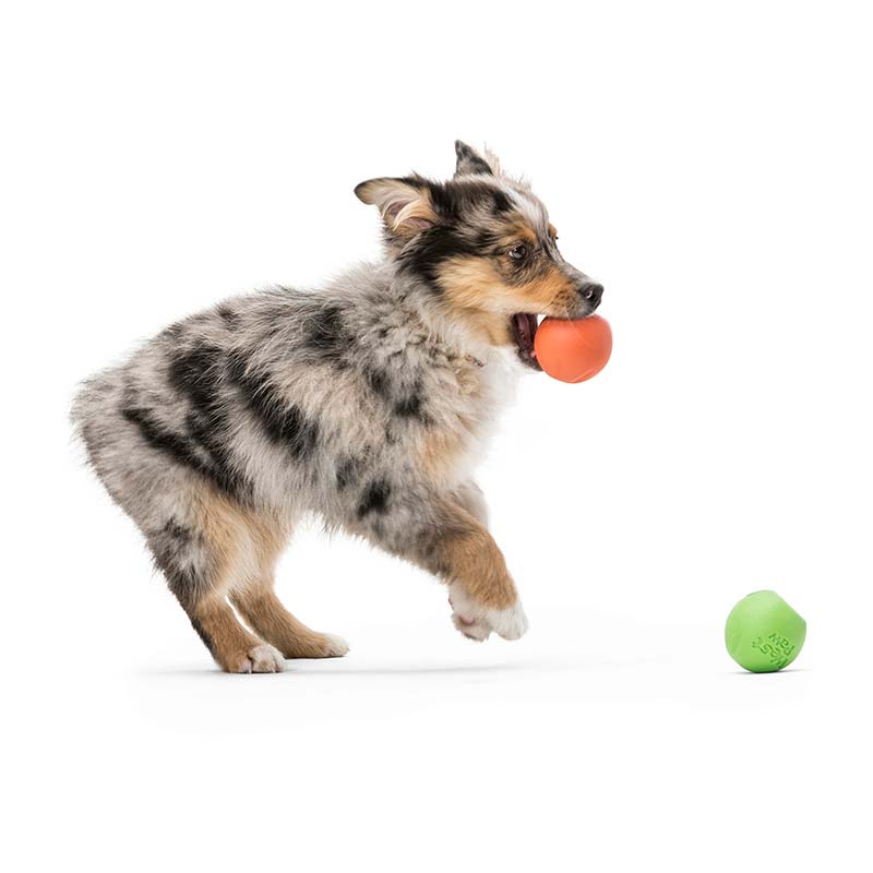 West Paw (Вест Пау) Rando - Игрушка большой мяч для собак (9 см) в E-ZOO