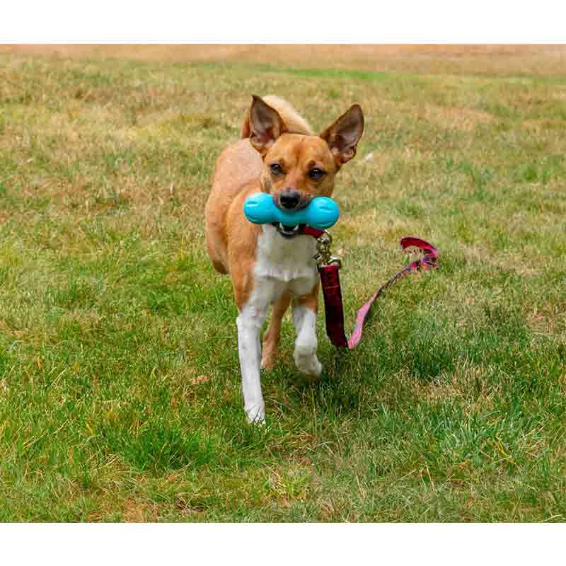 West Paw (Вест Пау) Rumpus - Іграшка Румпус для собак (13 см) в E-ZOO