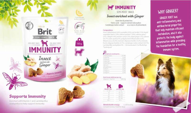 Brit Care (Бріт Кеа) Dog Functional Snack Immunity Insect – Функціональні ласощі з комахами й імбиром для імунітету дорослих собак всіх порід (150 г) в E-ZOO