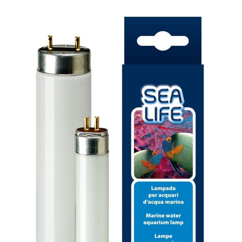 Ferplast (Ферпласт) SEALIFE AQUACORAL - Люмінесцентна лампа для акваріумів з морською водою (Ø1,6 см / 55 см) в E-ZOO