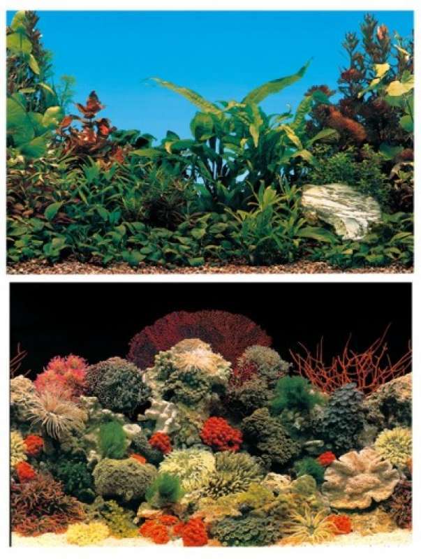 Ferplast (Ферпласт) Aquarium background Plants/Corals - Двусторонний аквариумный фон с рисунком (кораллы / растения) (60х40 см) в E-ZOO