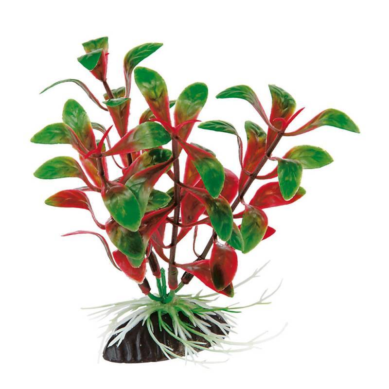 Ferplast (Ферпласт) Plastic plant Rotala - Пластикова декоративна рослина для акваріума (5,5х2,5х20 см) в E-ZOO