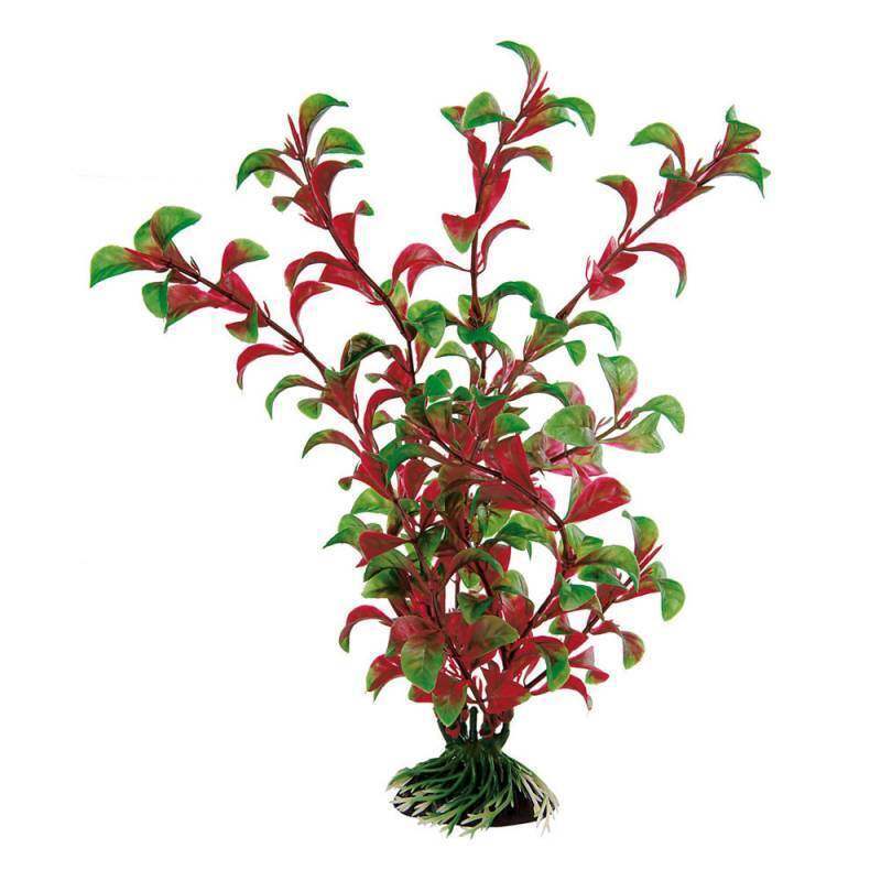 Ferplast (Ферпласт) Plastic plant Rotala - Пластикова декоративна рослина для акваріума (5,5х2,5х20 см) в E-ZOO