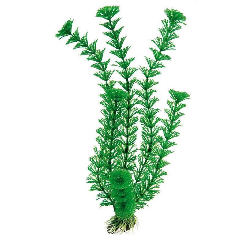 Ferplast (Ферпласт) Plastic plant Cabomba - Пластиковое декоративное растение для аквариума (5,5х2,5х20 см) в E-ZOO