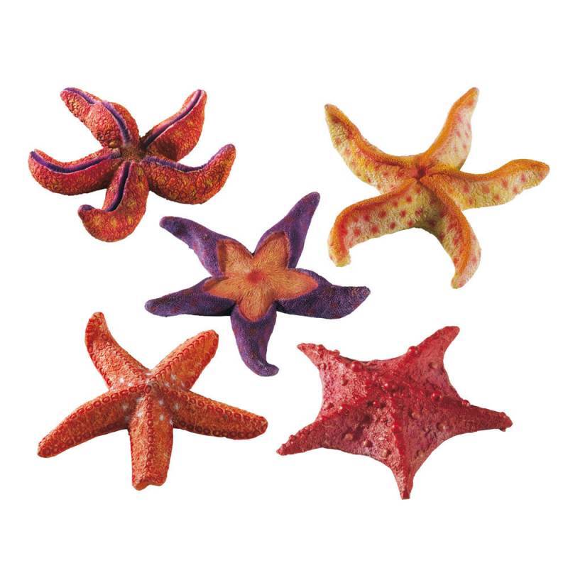 Ferplast (Ферпласт) Starfish Small - Декорація Зірка з поліуретану для акваріумів (1 шт.) в E-ZOO