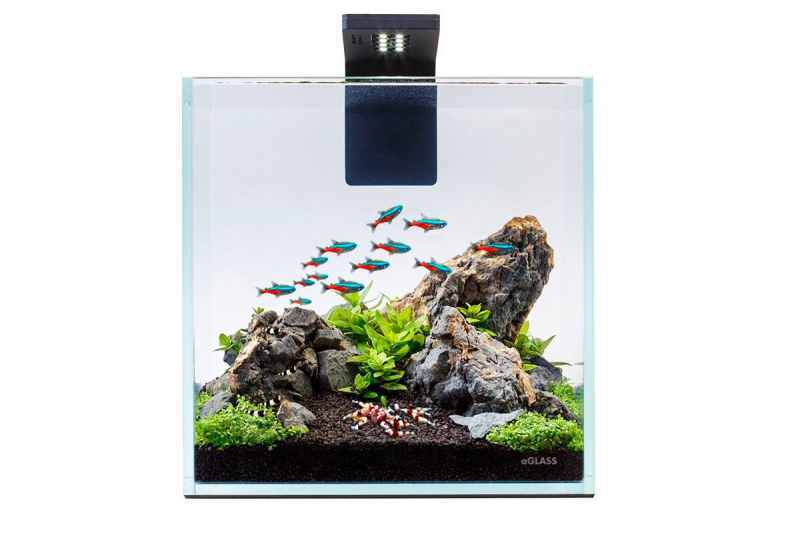 Collar (Коллар) Nano Set (10 л) - Аквариумный набор для креветок, петушков и других мелких видов рыб (10 л) в E-ZOO