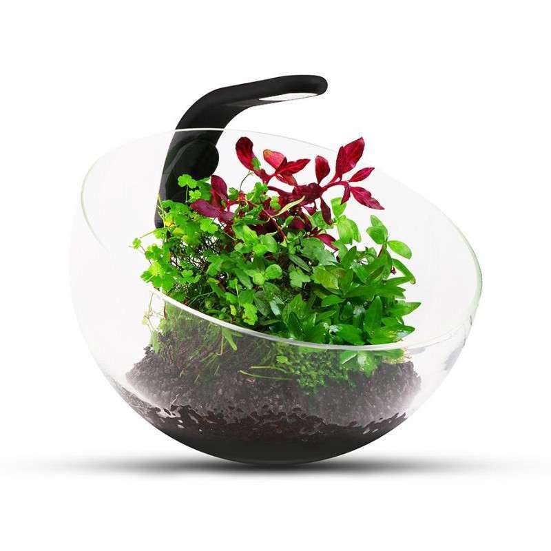 Collar (Коллар) Wabi Set - Декоративний акваріумний набір для вирощування сукулентів та інших рослин (17,5х17,5х15 см) в E-ZOO