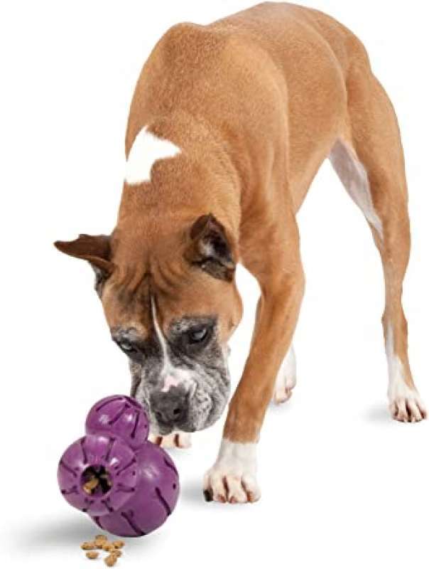 PetSafe (ПетСейф) Barnacle - Суперміцна іграшка - ласощі для собак (S) в E-ZOO