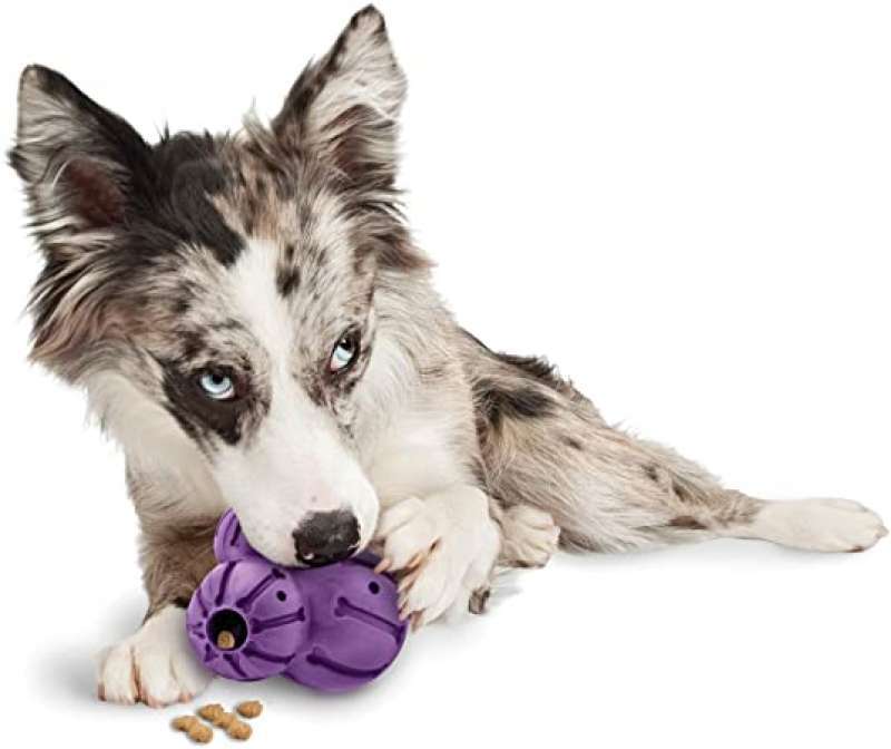 PetSafe (ПетСейф) Barnacle - Суперпрочная игрушка - лакомство для собак (S) в E-ZOO