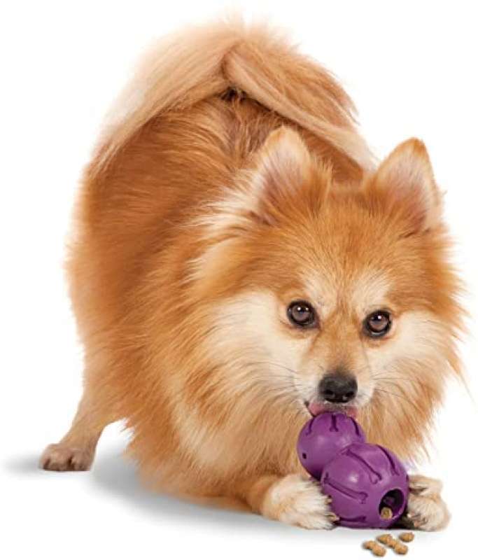 PetSafe (ПетСейф) Barnacle - Суперпрочная игрушка - лакомство для собак (S) в E-ZOO