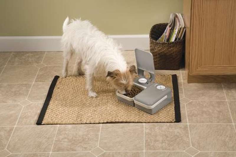 PetSafe (ПетСейф) Eatwell 2 Meal Pet Feeder - Автоматична годівниця для котів та собак на 2 порції з таймером (2х340 мл) в E-ZOO