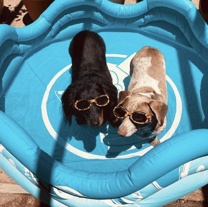 Alcott (Алкотт) Pool Mariner - Басейн для собак (120 см) в E-ZOO