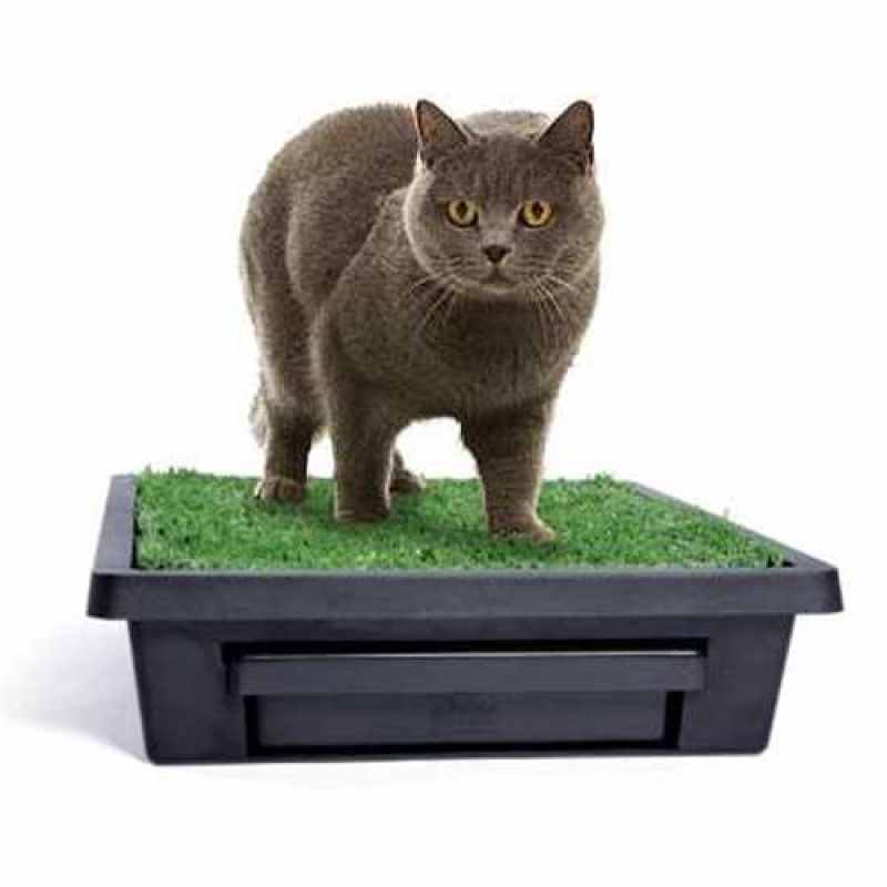 PetSafe (ПетСейф) Pet Loo Portable Pet Potty - Портативный туалет для собак мелких и средних пород, котов и других домашних животных (53х45х10 см) в E-ZOO