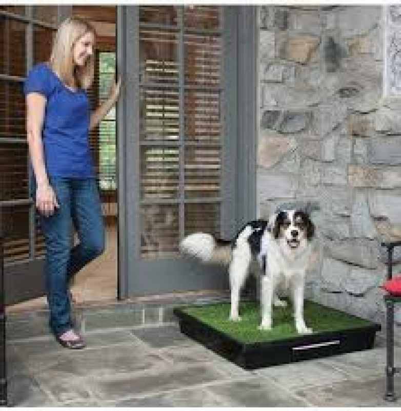 PetSafe (ПетСейф) Pet Loo Portable Pet Potty - Портативний туалет для собак дрібних і середніх порід, котів та інших домашніх тварин (53х45х10 см) в E-ZOO