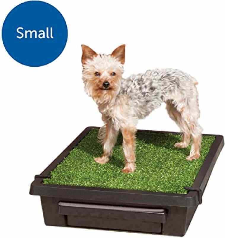 PetSafe (ПетСейф) Pet Loo Portable Pet Potty - Портативний туалет для собак дрібних і середніх порід, котів та інших домашніх тварин (53х45х10 см) в E-ZOO