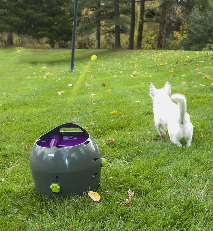 PetSafe (ПетСейф) Automatic Ball Launcher - Автоматичний метальник м'ячів, іграшка для собак (Комплект) в E-ZOO