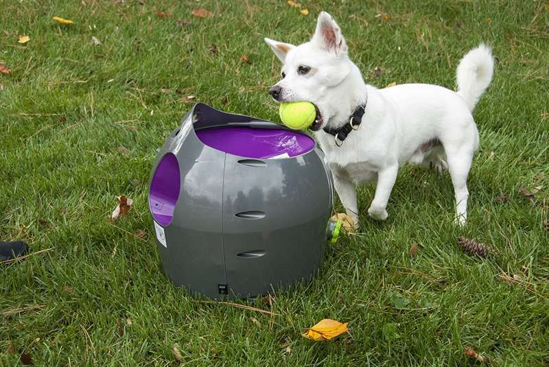 PetSafe (ПетСейф) Automatic Ball Launcher - Автоматический метатель мячей, игрушка для собак (Комплект) в E-ZOO