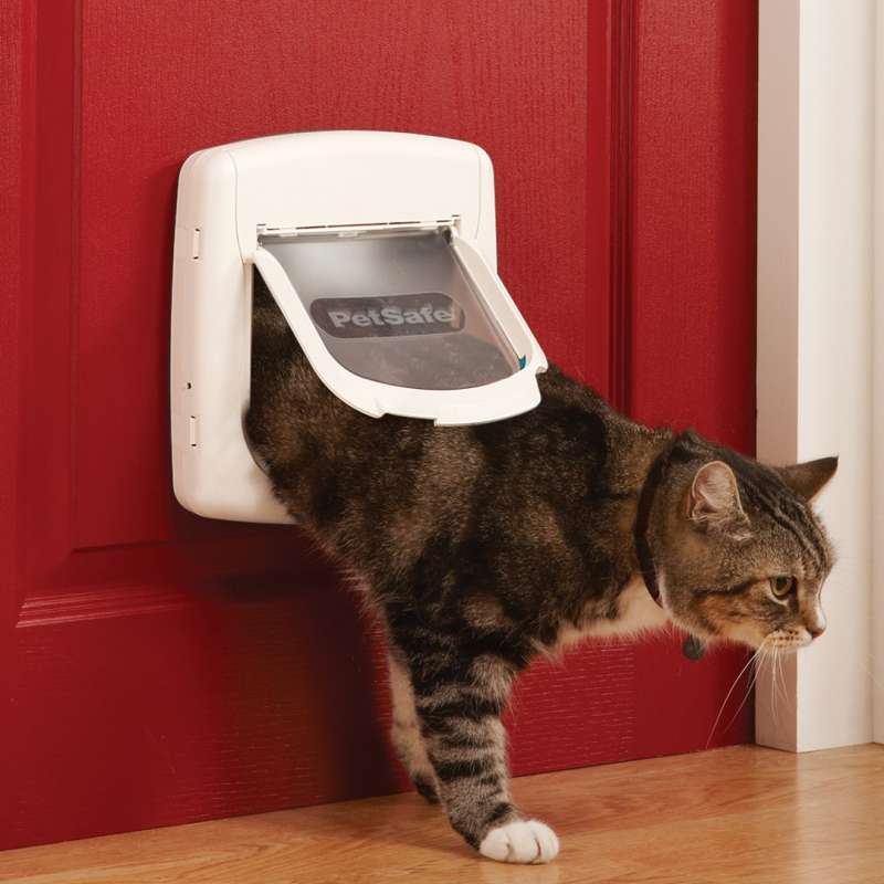 PetSafe (ПетСейф) Staywell Magnetic Collar Key - Нашийник з магнітним ключем для дорослих котів (до 7 кг) в E-ZOO