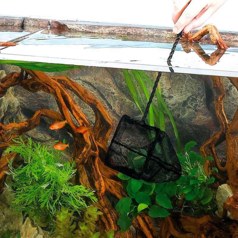 Ferplast (Ферпласт) Fish net – Сачок для аквариумов (12х38 см) в E-ZOO
