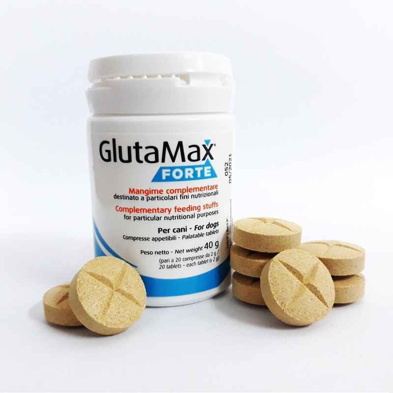 Candioli (Кандіолі) GlutaMax Forte - Дієтична добавка для підтримки функції печінки при хронічній печінковій недостатності для дорослих собак і котів (15 мл / паста) в E-ZOO