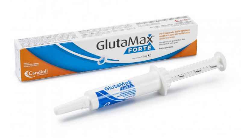 Candioli (Кандіолі) GlutaMax Forte - Дієтична добавка для підтримки функції печінки при хронічній печінковій недостатності для дорослих собак і котів (15 мл / паста) в E-ZOO