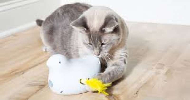 PetSafe (ПетСейф) Peek-a-Bird Electronic Cat Toy - Інтерактивна іграшка для котів Пташка (10х15,6х12 см) в E-ZOO