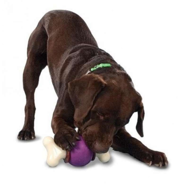 Premier (Премиер) Bouncy Bone - Суперпрочная игрушка-кормушка для собак (M) в E-ZOO