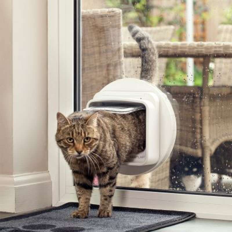 PetSafe (ПетСейф) Manual-Locking Cat Flap - Дверцята з механічним замком для котів вагою до 7 кг (21,9х21,9 см) в E-ZOO
