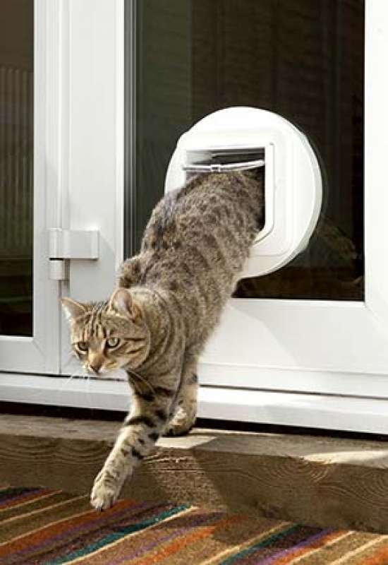 PetSafe (ПетСейф) Manual-Locking Cat Flap - Дверца с механическим замком для котов весом до 7 кг (21,9х21,9 см) в E-ZOO