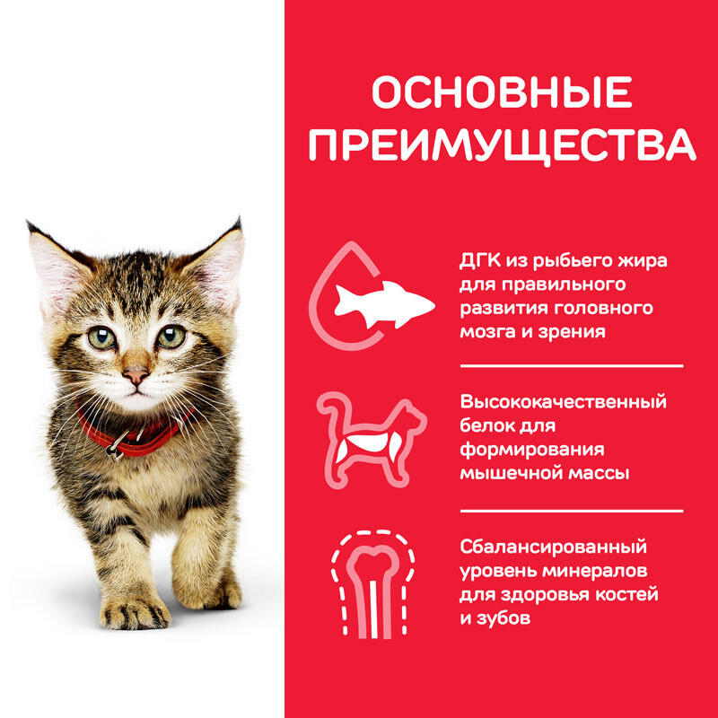 Hill's (Хиллс) Science Plan Kitten Tuna - Сухой корм с тунцом для котят до 1 года (1,5 кг) в E-ZOO