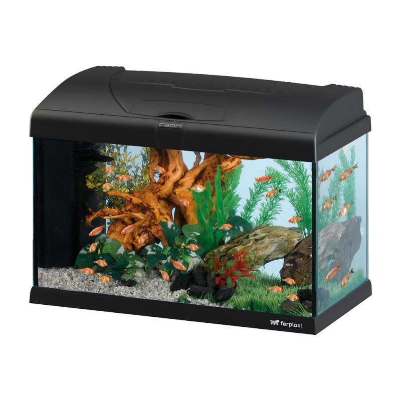 Ferplast (Ферпласт) Capri 50 LED (40 л) - Стеклянный аквариум с крышкой со светодиодной лампой Капри 50 LED (40 л) в E-ZOO