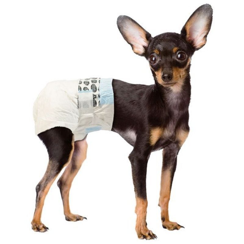 Simple Solution (Симпл Солюшн) Disposable Diapers X-Small /Toy - Подгузники гигиенические для маленьких собак (XS (12 шт./уп.)) в E-ZOO