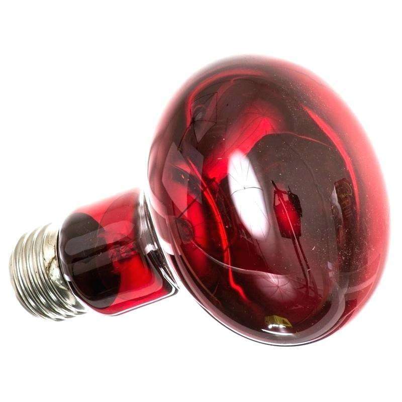 Trixie (Трикси) Reptiland Infrarot Warme Spot-Lampe - Инфракрасная лампа накаливания (для обогрева) (75 W) в E-ZOO