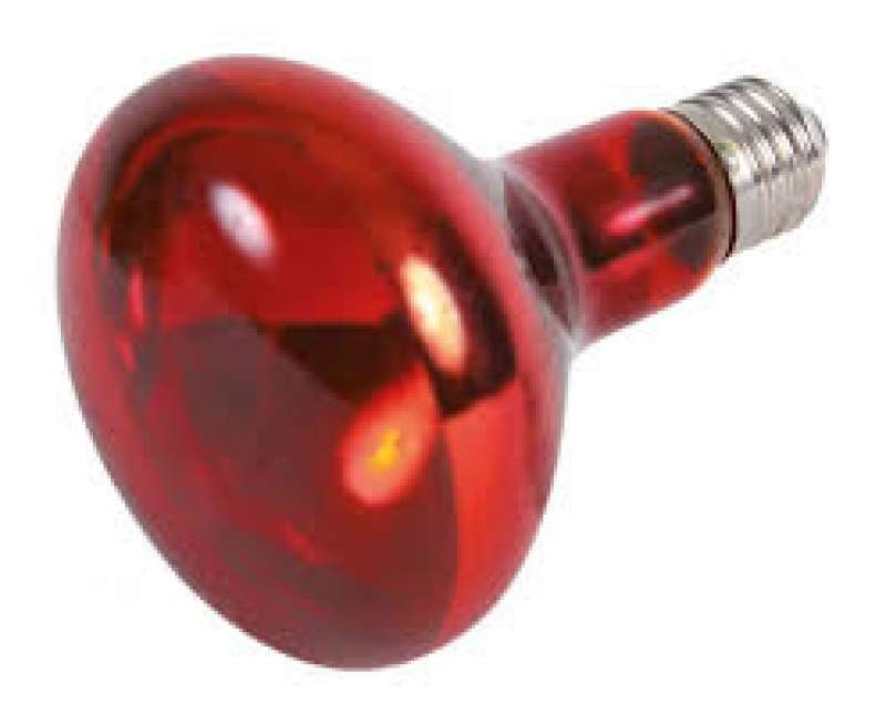 Trixie (Тріксі) Reptiland Infrarot Warme Spot-Lampe - Інфрачервона лампа розжарювання (для обігріву) (100 W) в E-ZOO